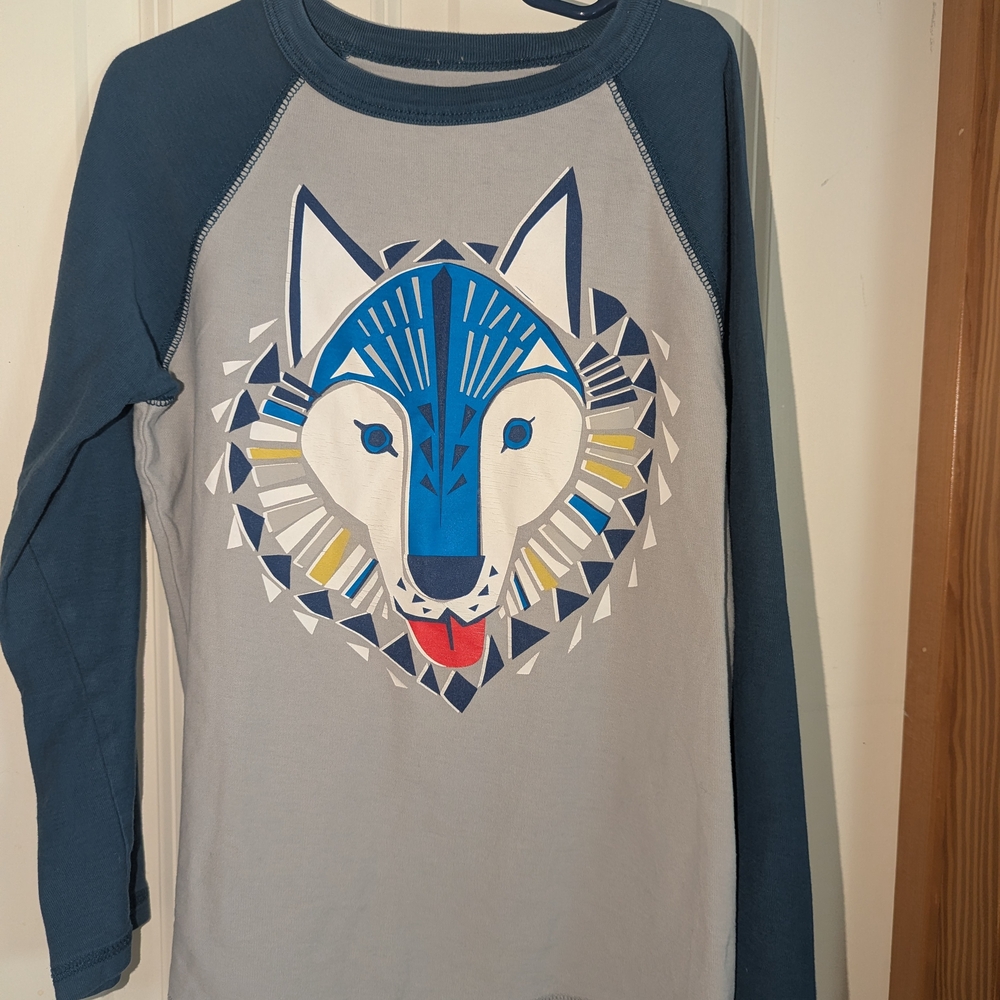 Bundle 4 For $5 Kids Blue Wolf Graphic Long Sleeve Shirt